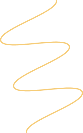 Expert Network Element